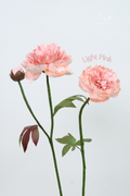 Peony Pink