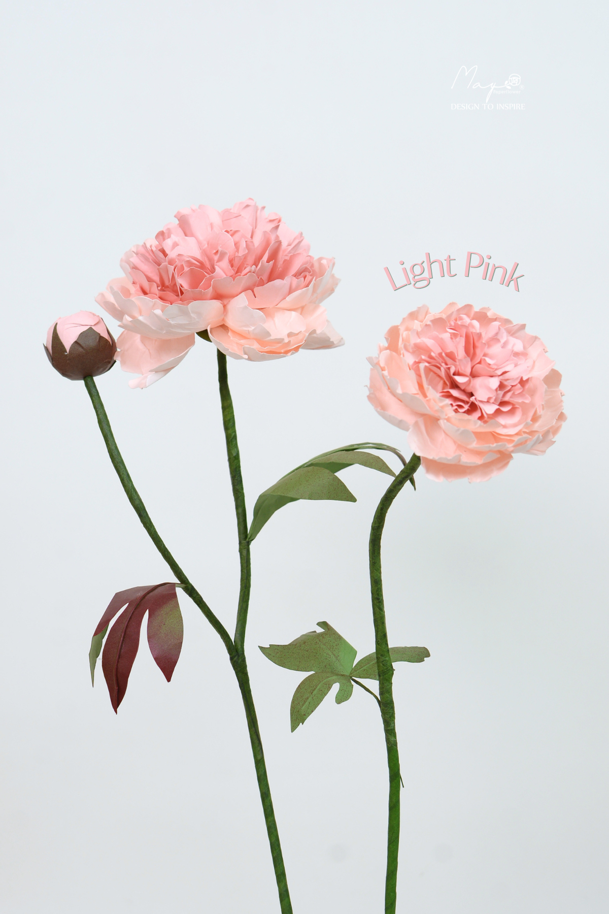 Peony Pink