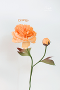 Peony Orange