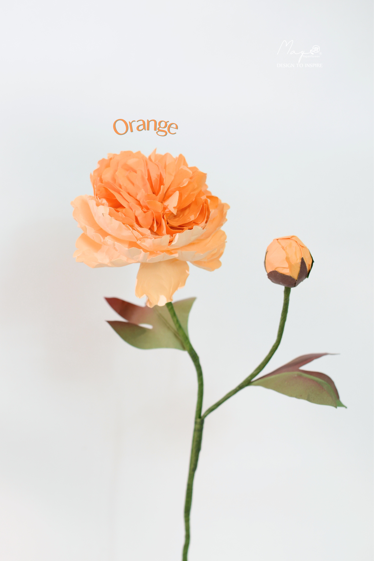 Peony Orange