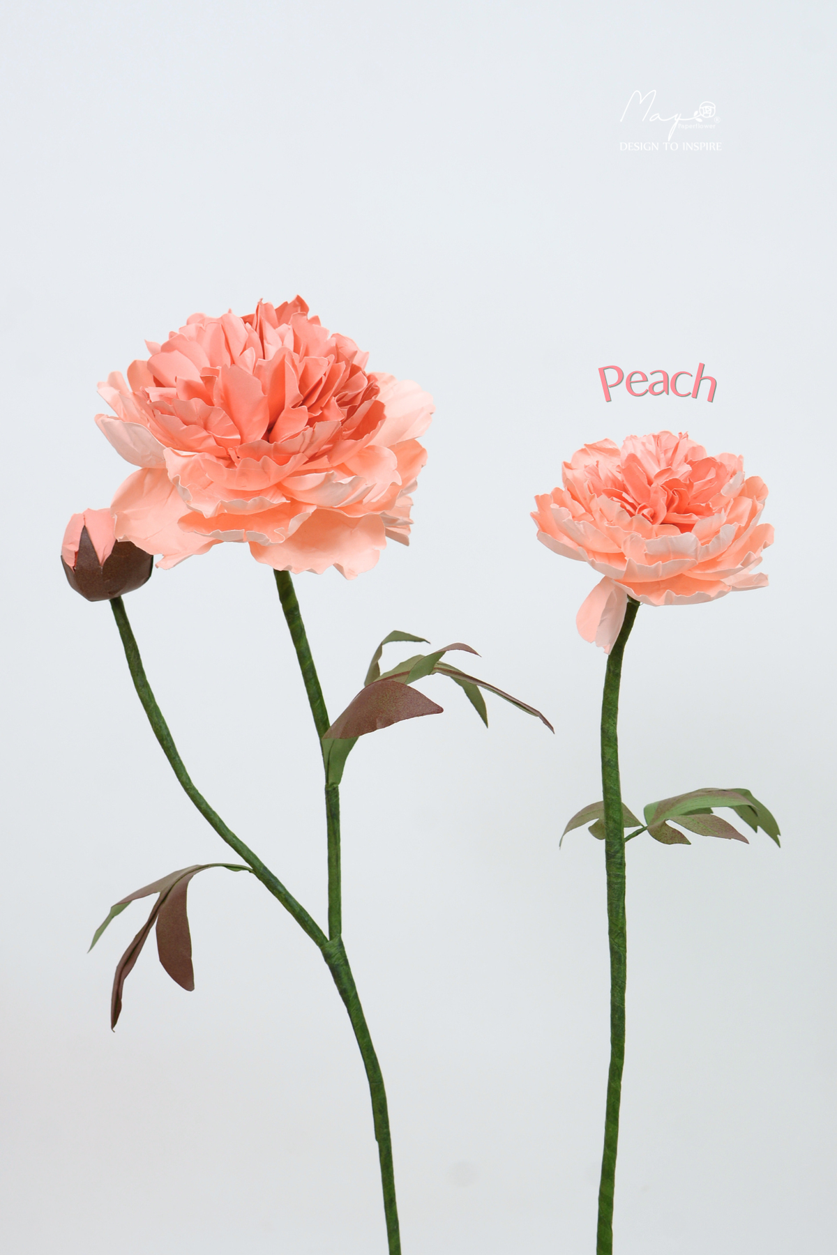 Peony Peach