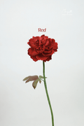 Peony Red