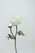 Peony White