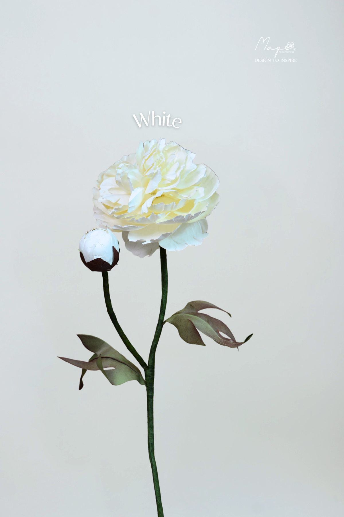 Peony White