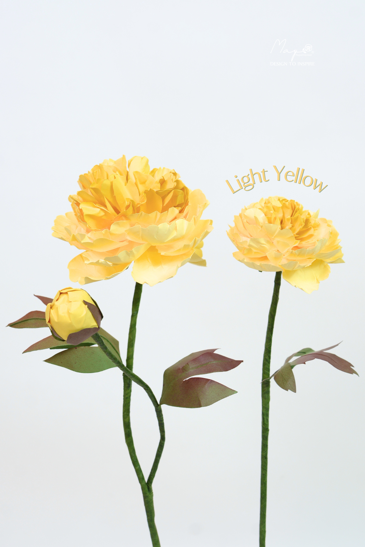 Peony Yellow