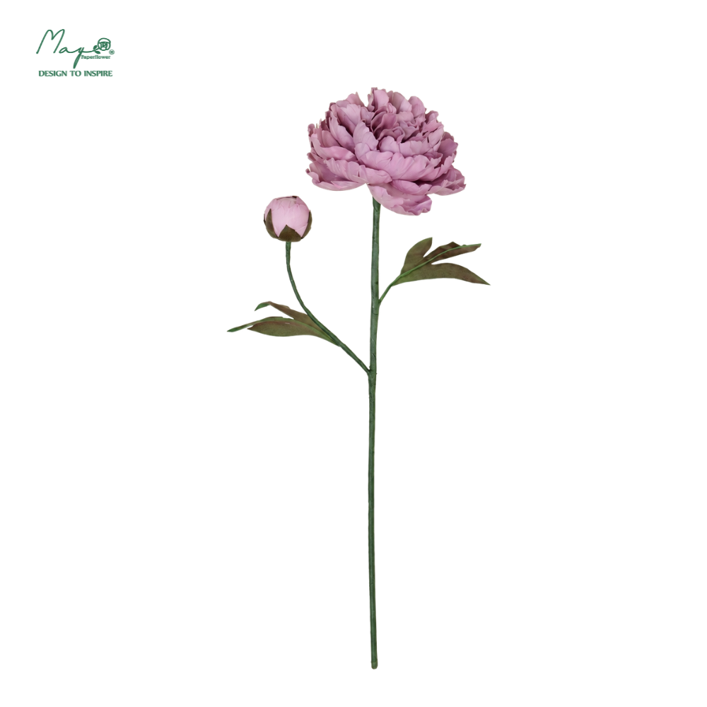 Peony Mauve