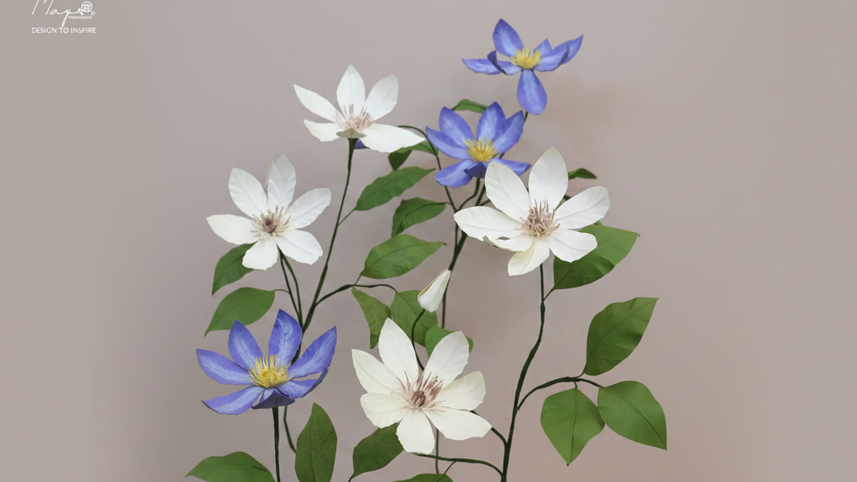Clematis 16:9 ruimer